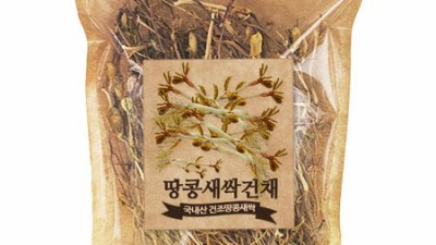 땅콩새싹 수출 원합니다? 🤫 득템 찬스! 싱싱한 땅콩새싹의 모든 것