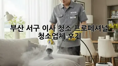 부산 서구 이사 청소? 프로페셔널 청소업체 후기!
