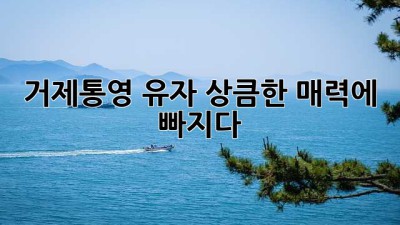 거제·통영 유자: 상큼한 매력에 빠지다